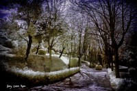 /album/fotogaleria-fotografia-infraroig/f-21-640x480-jpg/